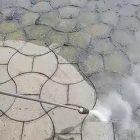 Бензиновый аппарат высокого давления 280 бар для тротуарной плитки и фасадов 8