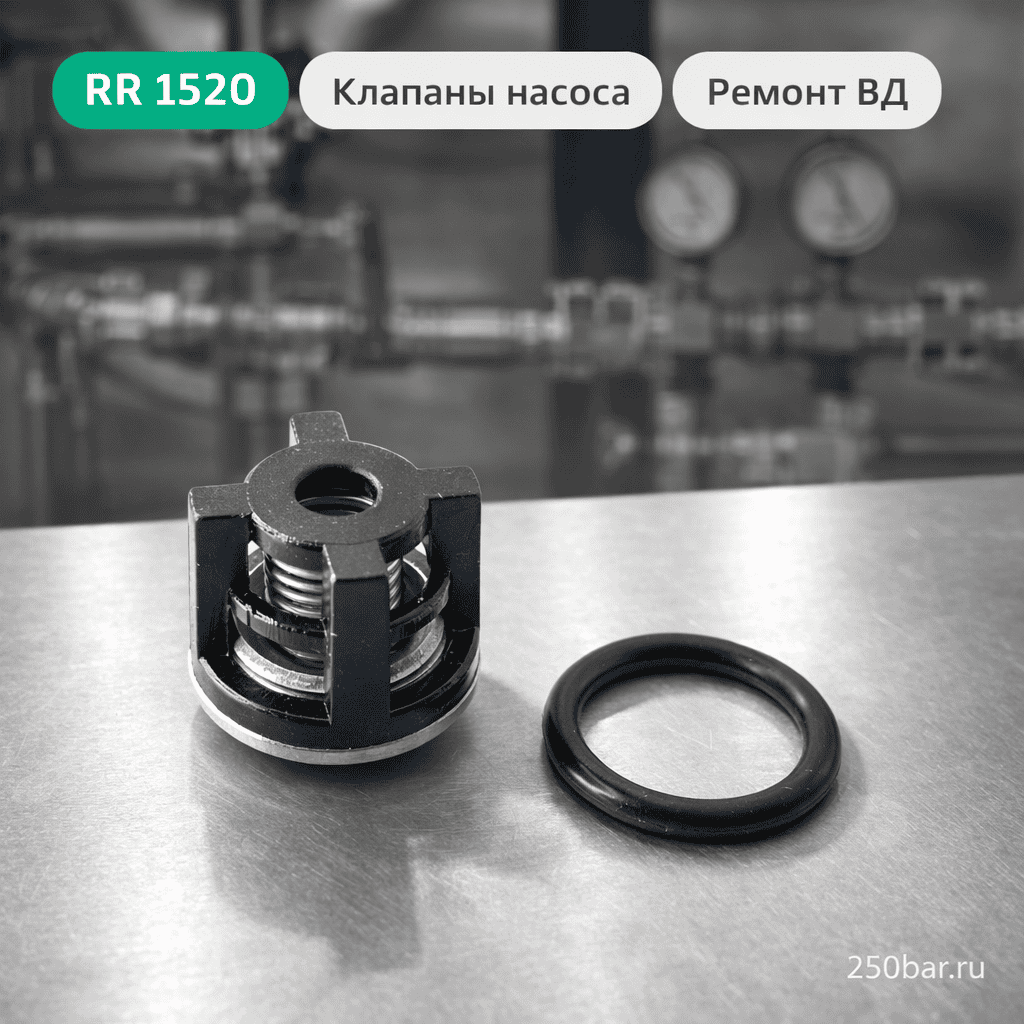 🧠💧 Клапаны для насоса Annovi Reverberi RR 1520 — комплект для восстановления давления Маркетплейс высокого давления - 250bar.ru 🧠💧 Клапаны для насоса Annovi Reverberi RR 1520 — комплект для восстановления давления