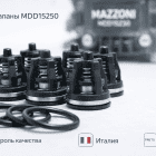 🔩💧 Клапаны Mazzoni MDD15250 🇮🇹 — комплект для стабильного давления насоса 5