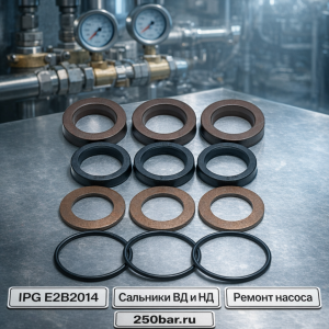 💧🔩 Сальники для насоса IPG Evolution E2B2014 — комплект ВД и НД 2