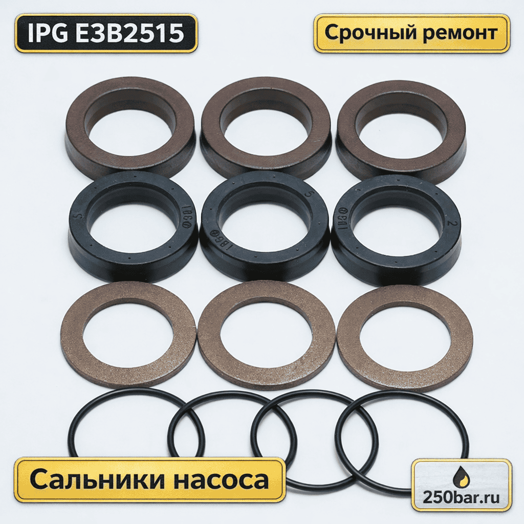 💧🛠 Сальники для насоса IPG Evolution E3B2515 — комплект ВД и НД